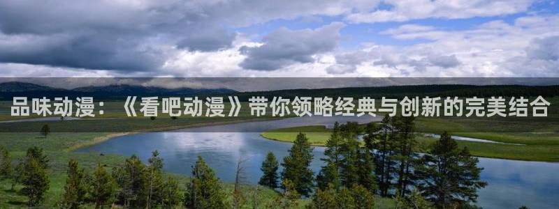 风车动漫dm530手机版专