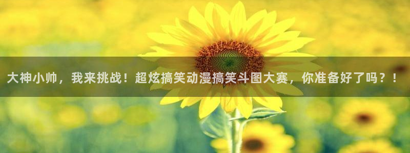 风车动漫污：大神小帅，我来挑战！超炫搞笑动漫搞笑斗图大赛，你准备好了吗？！