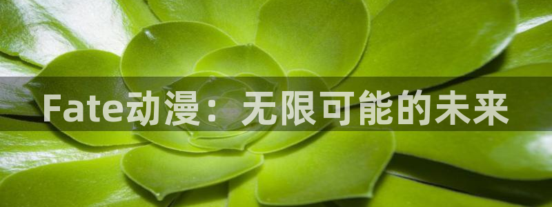 碧蓝之海风车动漫